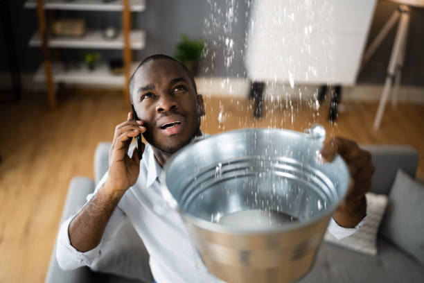 Best Residential water damage restoration  in Ozk, AR