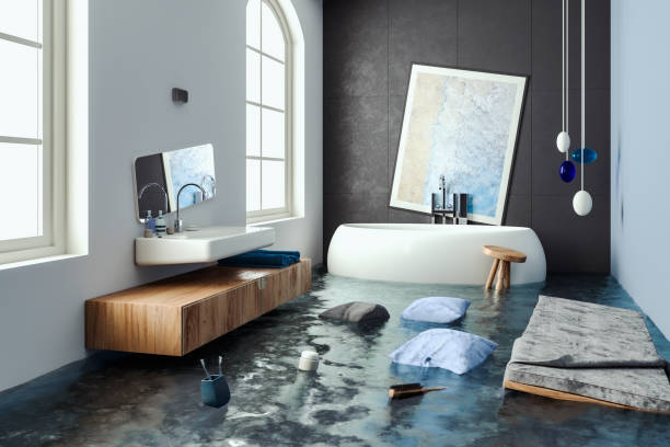 Best Water damage restoration insurance claims  in Ozk, AR