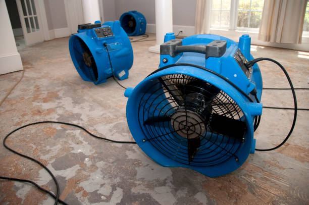 Professional Water damage restoration in AR