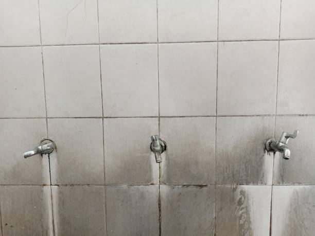  Ozk, AR Water damage restoration Pros