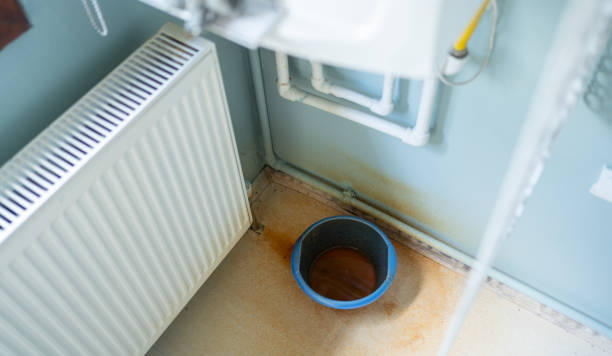 Best 24/7 water damage repair  in Ozk, AR