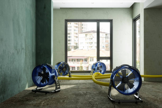Best Sewage cleanup and water damage restoration  in Ozk, AR